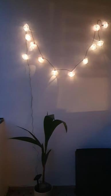 Von Sophie Apartment Hannover